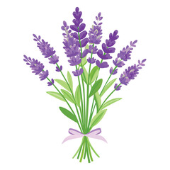 Obraz premium spring of lavender vector on isolated background