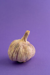 Fototapeta premium Dried garlic bulb against purple background. Ideal for culinary or health-related projects.