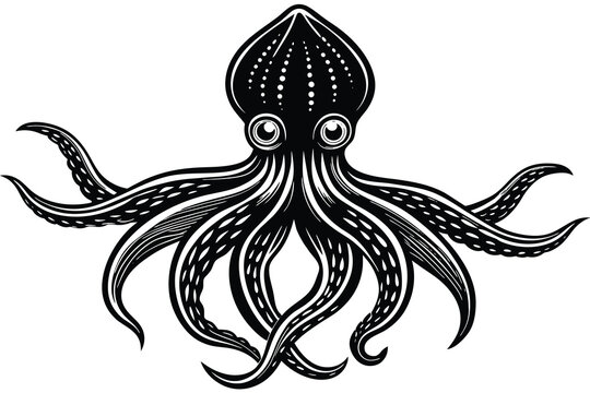 recommend clip art: black squid vector isolated on white