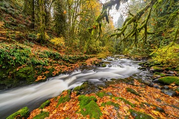 Cedar Creek - Washington State