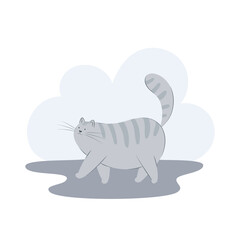Cute grey cat walks on its own with tail up. Cat behavior, body language and face expressions. Flat vector illustration of a pet
