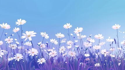Field of Daisies Under Blue Sky