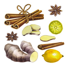 Antiviral set with ginger, cinnamon, lemon and star anise. A hand-drawn watercolor illustration. For design solutions of invitations, banners, packaging and menus.