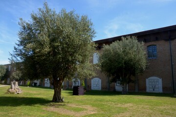 EX TABACCHIFICIO NEL BORGO DI CAFASSO A CAPACCIO PAESTUM,ITALIA,5 APRILE 2024.