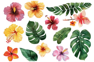 hawaiian leaves and flowers on isolated transparent background
