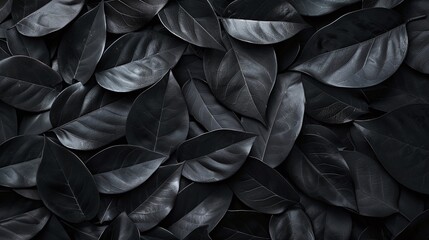 tropical leaf background with abstract black leaves textures, flat lay dark nature concept