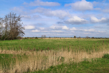 Clouds float in a blue sky over a grassy field in Ostfriesland