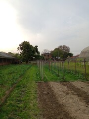 Agricultural Farm 