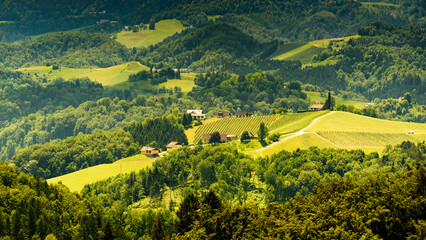 Austria, Slovenia Vineyards Sulztal Herzerl Straße