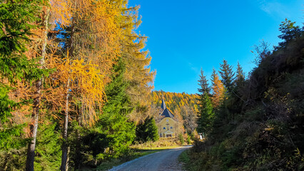 Fototapeta premium Panoramic hiking trail through idyllic forest in autumn leading to church Schoenanger in Grebenzen, Gurktal Alps, Styria, Austria. Colourful trees in tranquil serene atmosphere in Austrian Alps