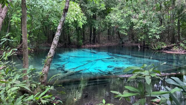 Amazing natural blue pool in the tropical jungle of Krabi, Thailand
