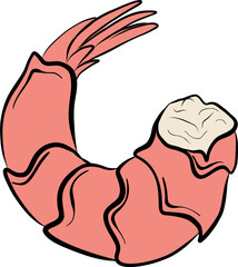Seafood hand drawn sketch vector illustration for poster, print, home decoration, menu cover, invitation, design template.  Shrimp