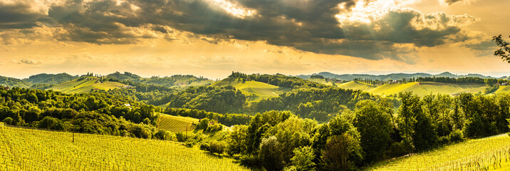 South styria vineyards landscape, near Gamlitz, Austria, Eckberg, Europe. Grape hills view from wine road in spring. - obrazy, fototapety, plakaty