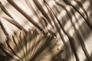 Dry tropical palm leaf on soft fabric with large folds in sunlight