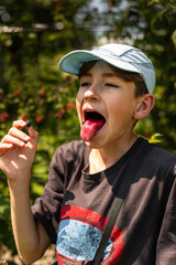 Boy eating blackberries in summer garden. Red berry juice tongue
