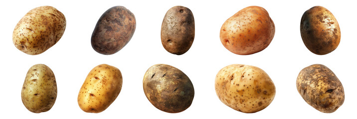 A variety of raw, unpeeled potatoes with natural soil marks cut out on transparent background - obrazy, fototapety, plakaty