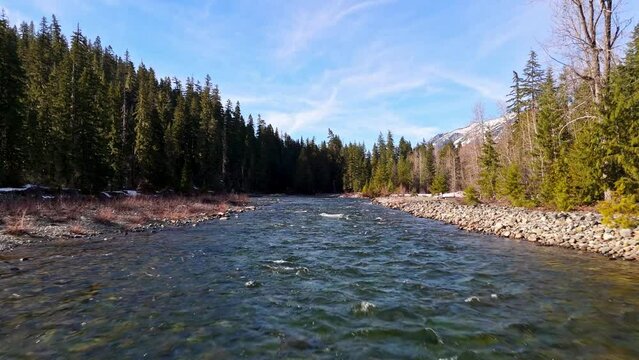 Low flying shot of flowing river in evergreen forest in Cle Elum on a blue sky day in Washington State.