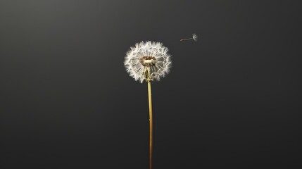 A minimalist composition featuring a solitary dandelion standing tall against a stark black background, its seed suspended in the air, Plenty of copy space, real photo, stock photography generative ai