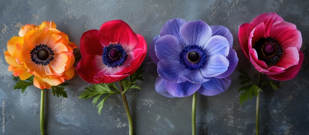Poster a row of four different colored flowers arranged neatly on top of a table, creating a vibrant and ey