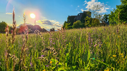 Warm sun beams through Idyllic alpine meadow during sunset with scenic view of Finkenstein Castle in Altfinkenstein, Karawanks, Carinthia, Austria. Tranquil atmosphere along hiking trail in spring - obrazy, fototapety, plakaty