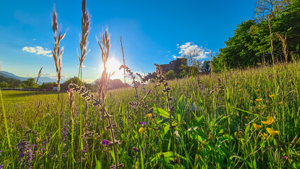 Warm sun beams through Idyllic alpine meadow during sunset with scenic view of Finkenstein Castle...