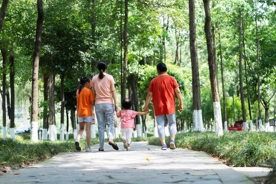 back view of happy asian family walking in the sunny park