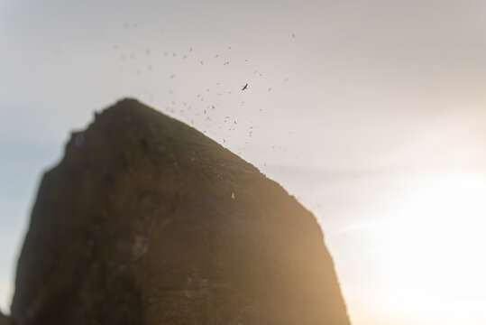 A rock formation at  Canon Beach, Oregon