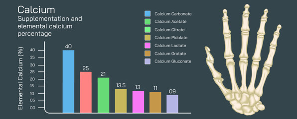 Calcium supplementation and elemental calcium percentage. The forms of calcium in supplements contain varying amounts of elemental calcium vector illustration. - obrazy, fototapety, plakaty