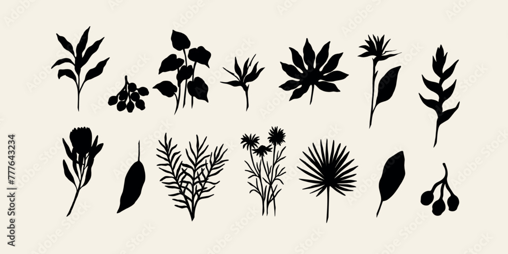 Wall mural Flat vector tropical flowers and plants collection