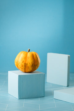 Conceptual Still Life with vegetables 