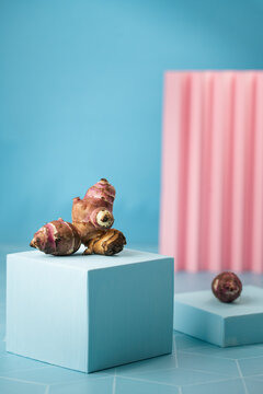 Conceptual Still Life with vegetables 