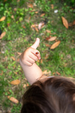 A toddler hand with a little ladybug 