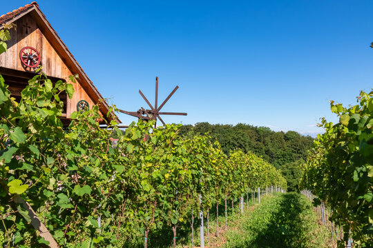 Scenic view of vineyards near Ehrenhausen an der Weinstrasse, Leibnitz, South Styria, Austria. Windmill klapotetz on winery Skoff stretching on green hills. Idyllic hiking trails in Styrian Tuscany