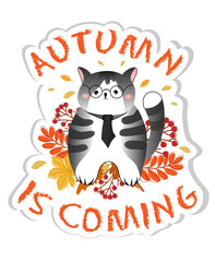 Sticker with grey cute little cat is sitting with autumn leaves. Autumn is coming.