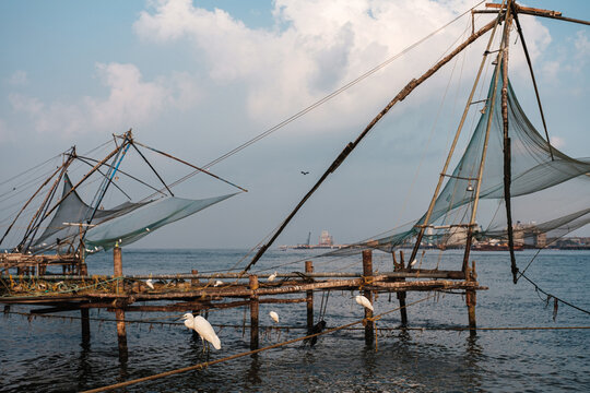 a calm scenery of nets and ocean and birds.