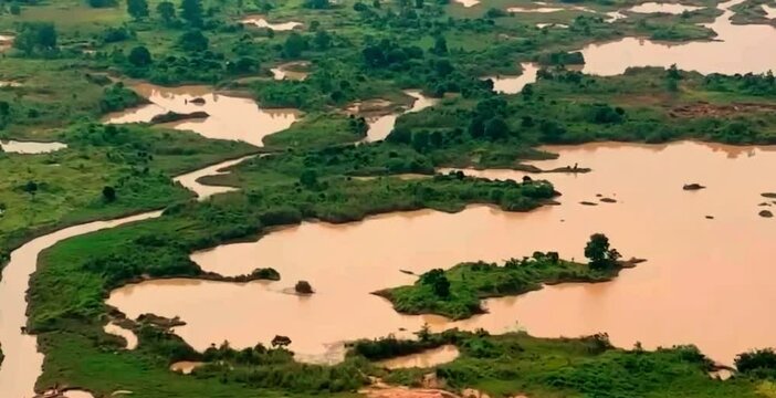 aerial video of forests in swamp areas