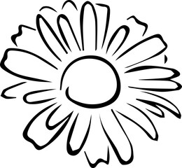Daisy Flower Illustration