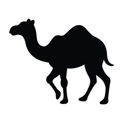 silhouette of a camel on white