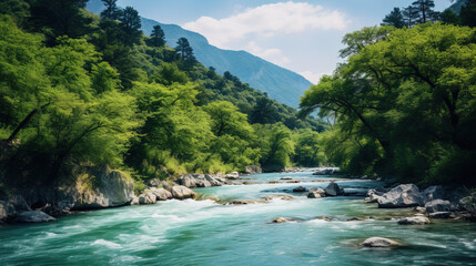 river in the forest.