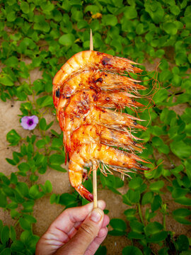 grilled shrimp on wooden sticks