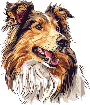 Rough Collie Dog adorable art vector illustration