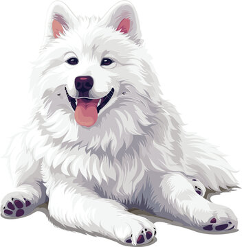 Samoyed cute tabby dog vector clip art