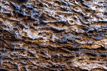 Corded lava close-up in Teide National Park