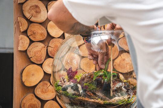 Man restoring a dead terrarium