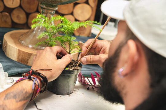 Man tending his plant
