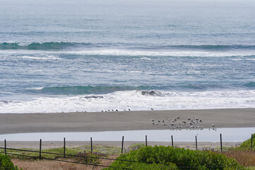 Windy Sand beach during windy summer day on pacific ocean (Iloca, Chile)