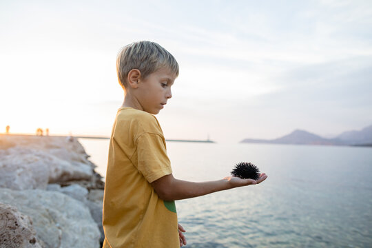 Little boy and a sea urchin