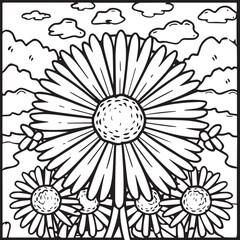 Daisy flower coloring pages. Daisy outline vector for coloring book