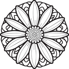 Daisy flower coloring pages. Daisy outline vector for coloring book