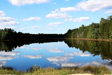 Tree line with still water lake and reflection of trees, sky, and clouds.
